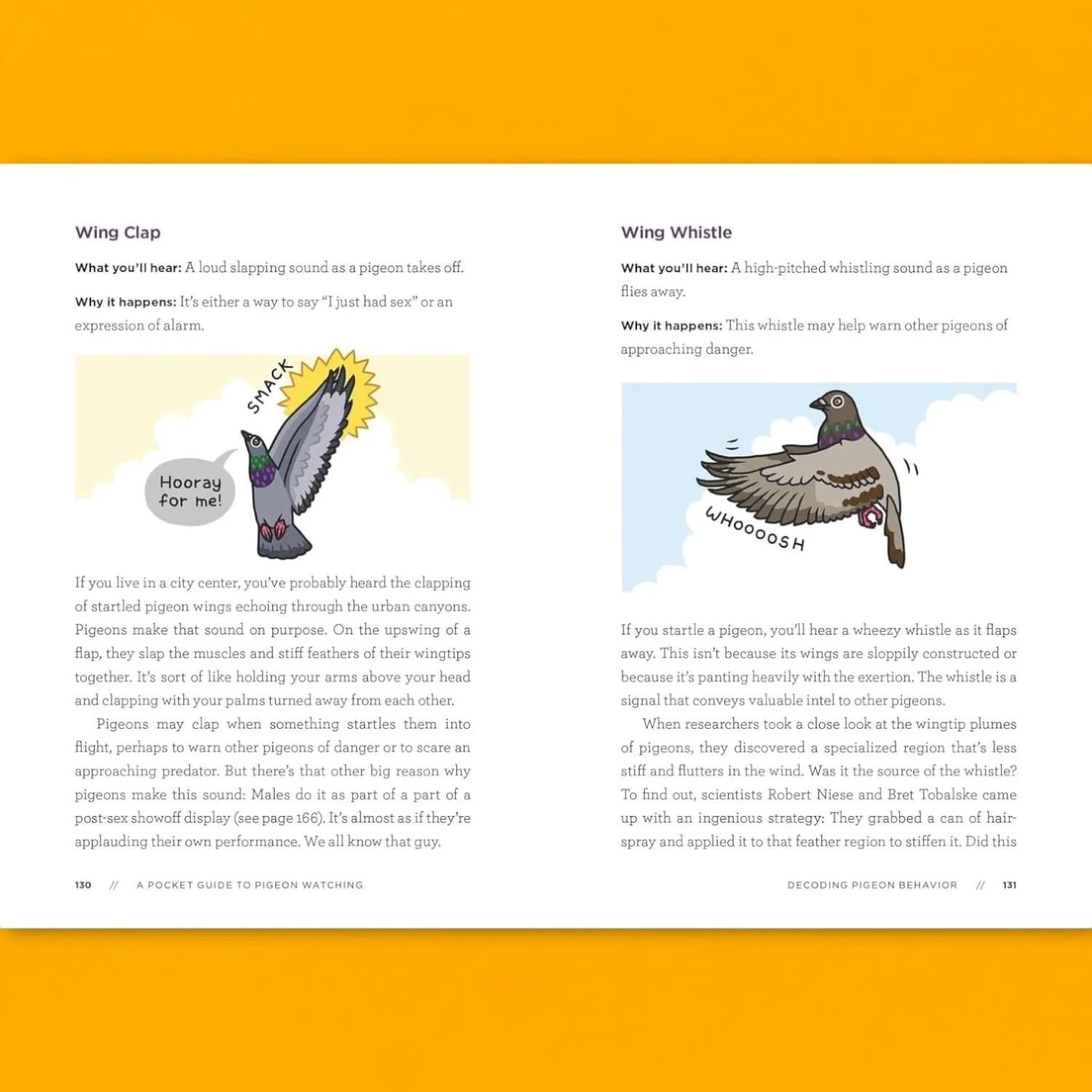 A Pocket Guide to Pigeon Watching - Image 3