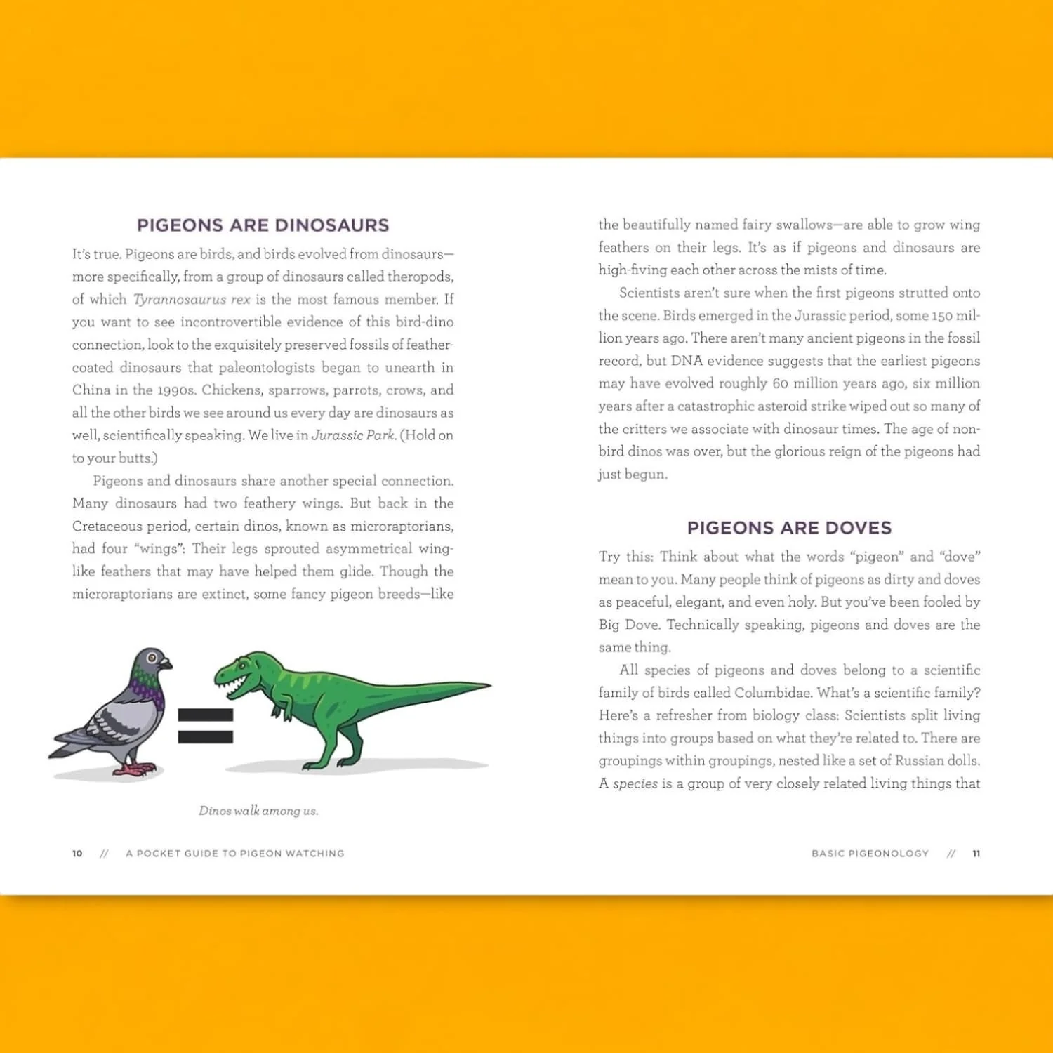 A Pocket Guide to Pigeon Watching - Image 5