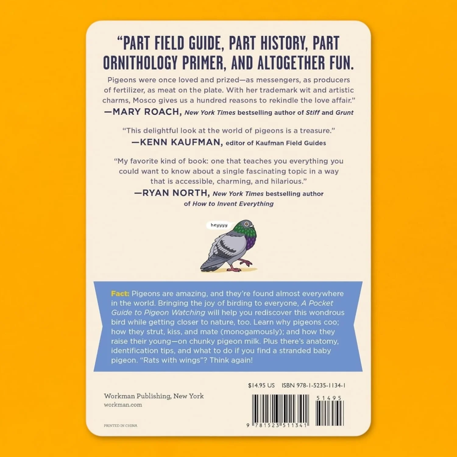 A Pocket Guide to Pigeon Watching - Image 6
