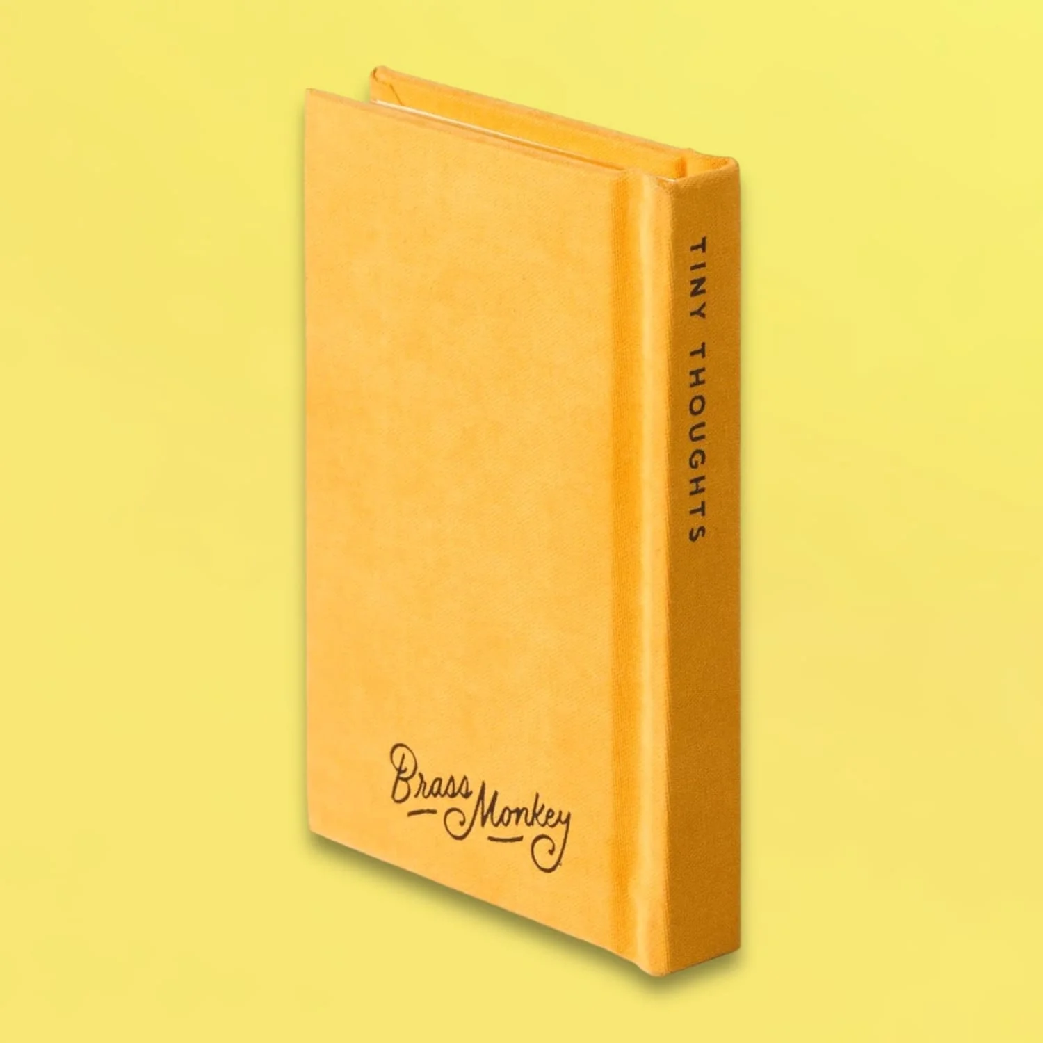 A Tiny Diary for Tiny Thoughts - Image 4