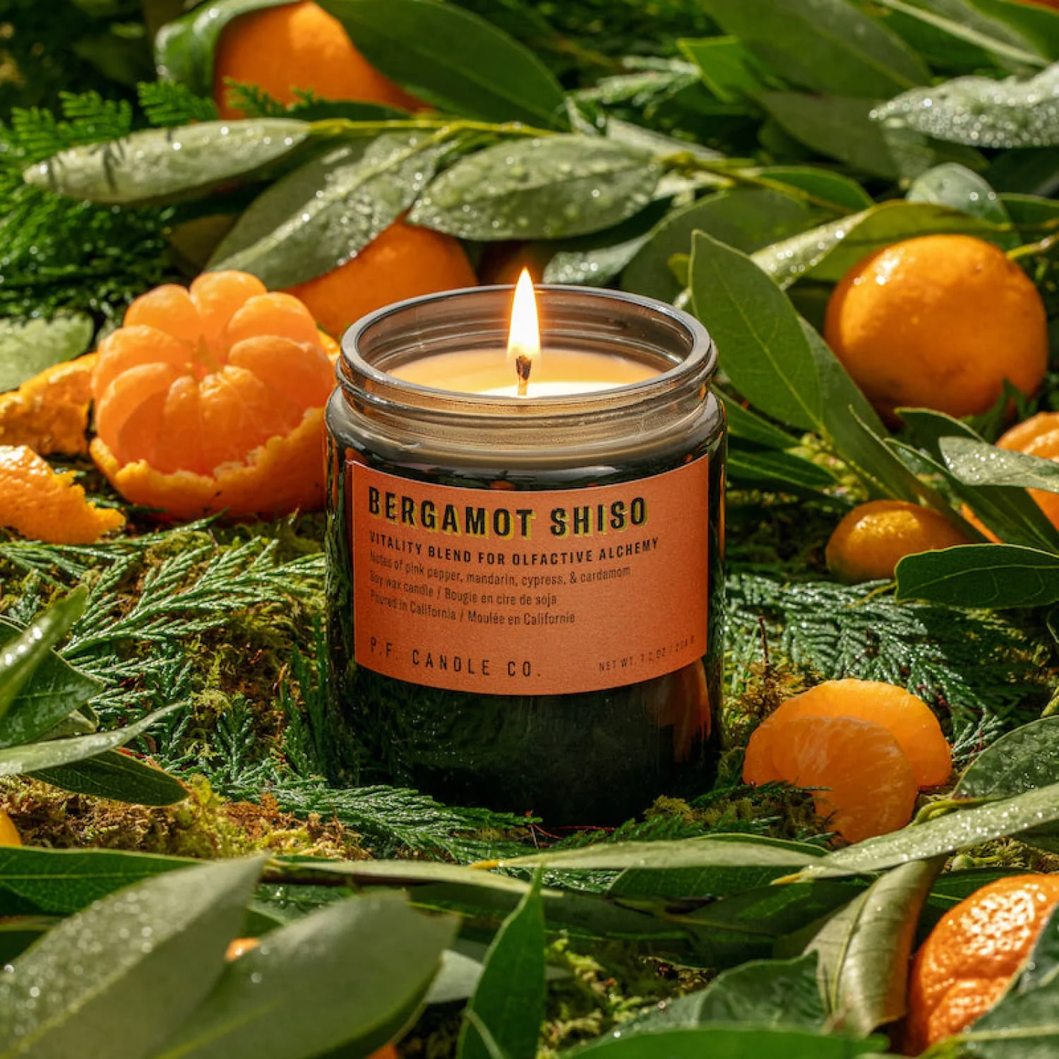 P.F. Candle Co. Alchemy Soy Candle - Image 4