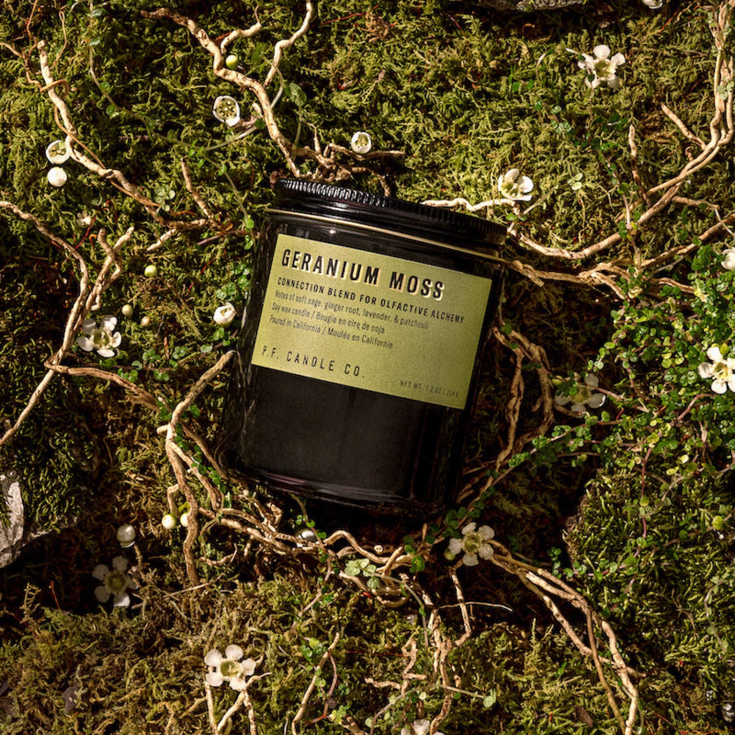 P.F. Candle Co. Alchemy Soy Candle - Image 5