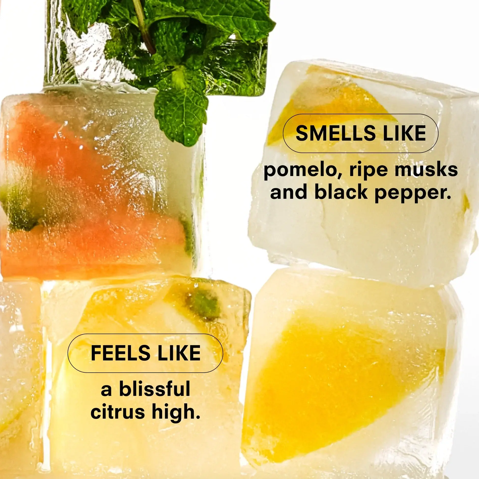 Boy Smells Body Mist - Citrush - Image 3