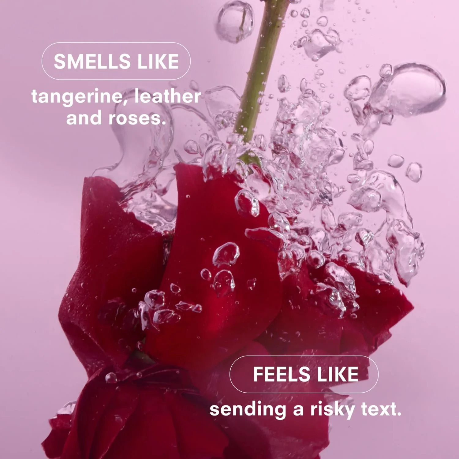 Boy Smells Candle - Rosalita - Image 3