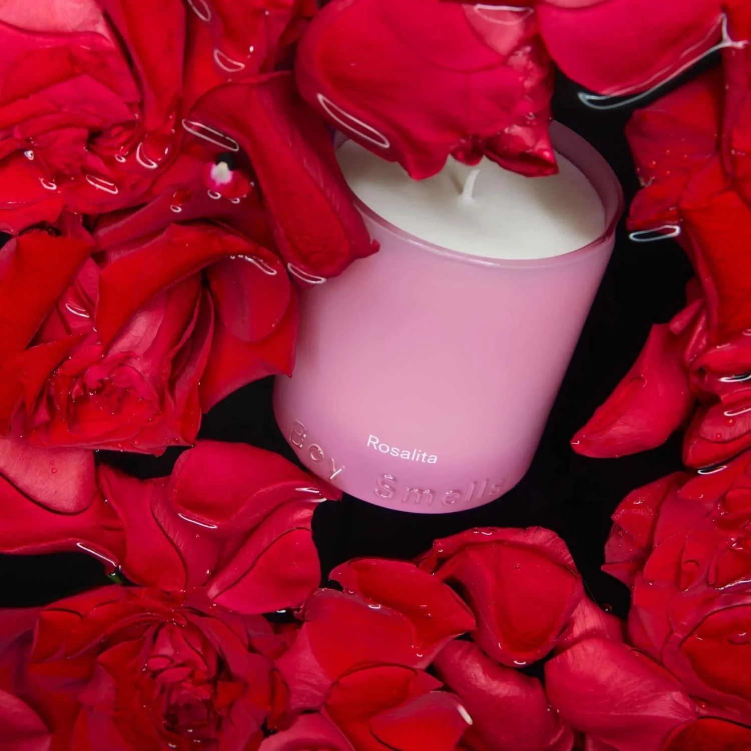 Boy Smells Candle - Rosalita - Image 4