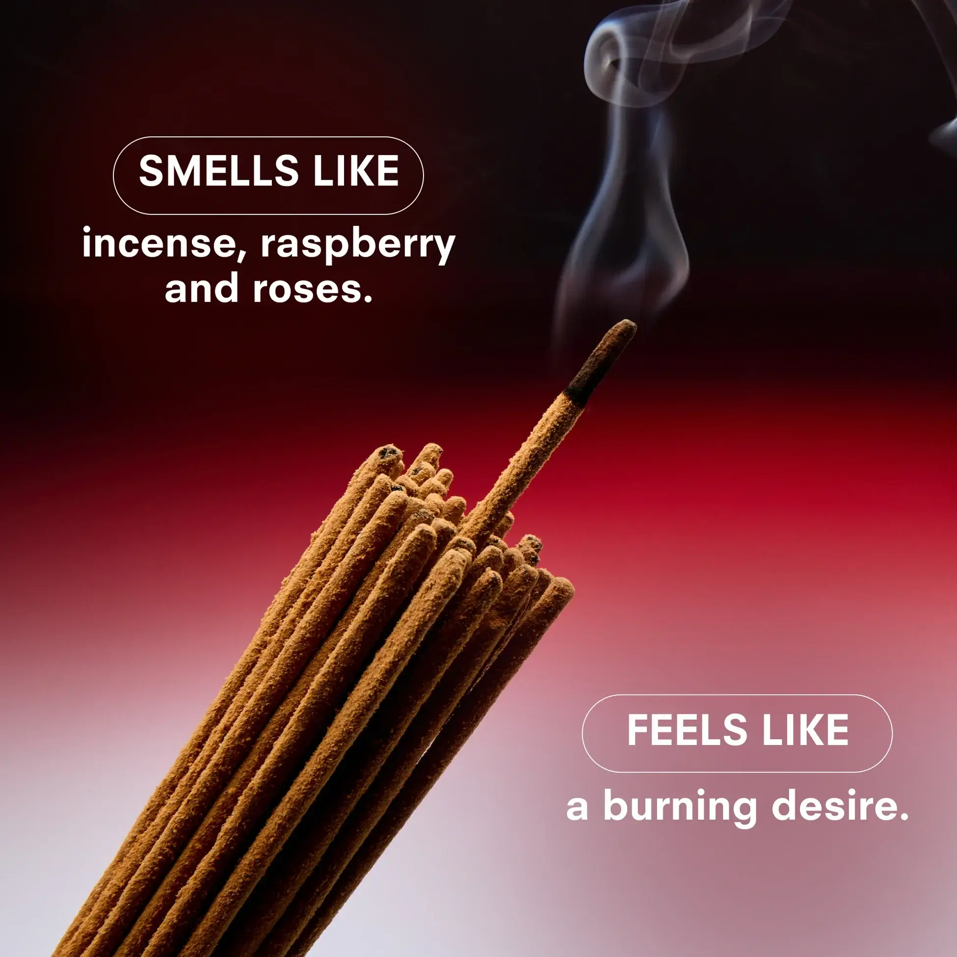 Boy Smells Hero Fine Fragrance - Red Hot - Image 2