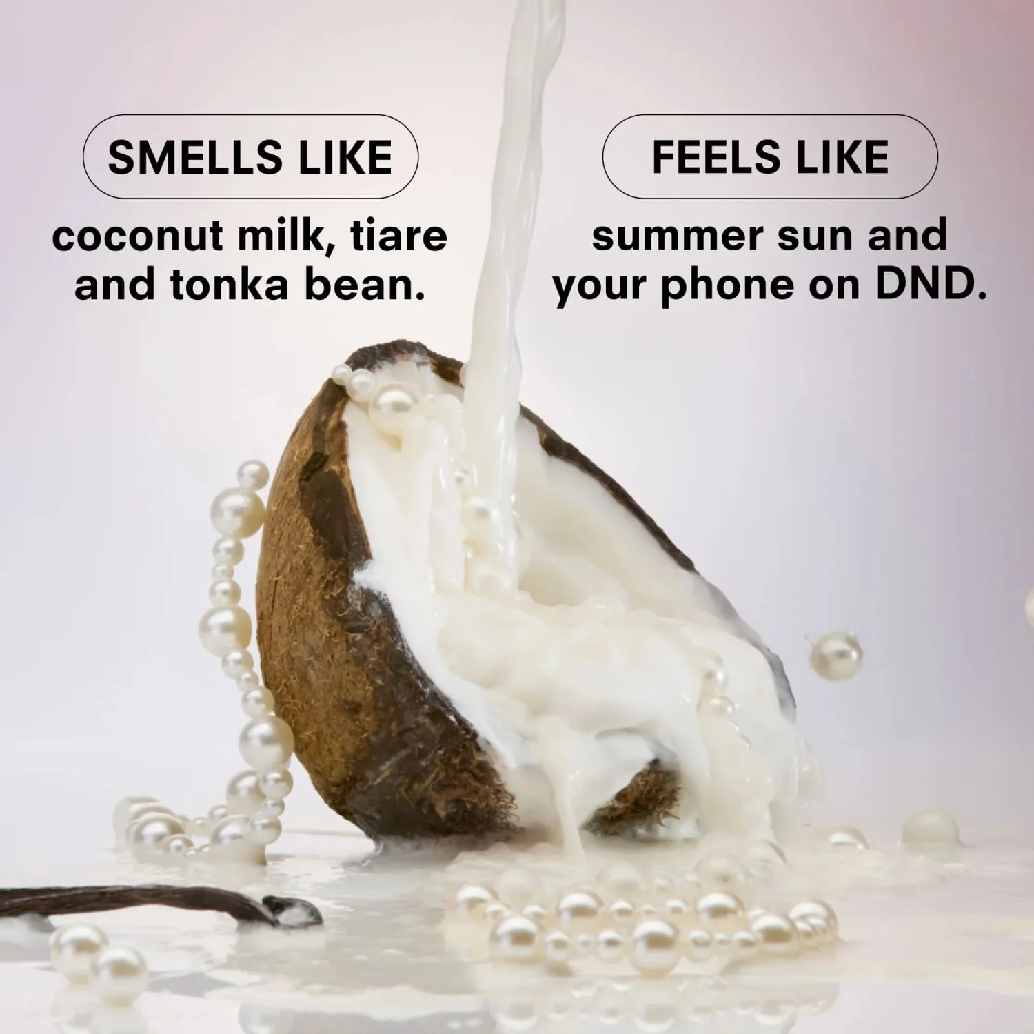 Boy Smells Perfume - Coco Cream - Image 4