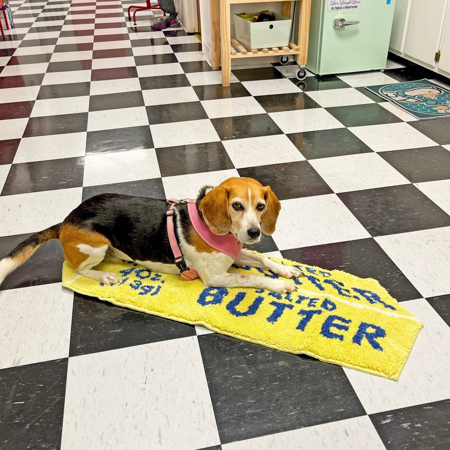 Butter Accent Rug - Image 3