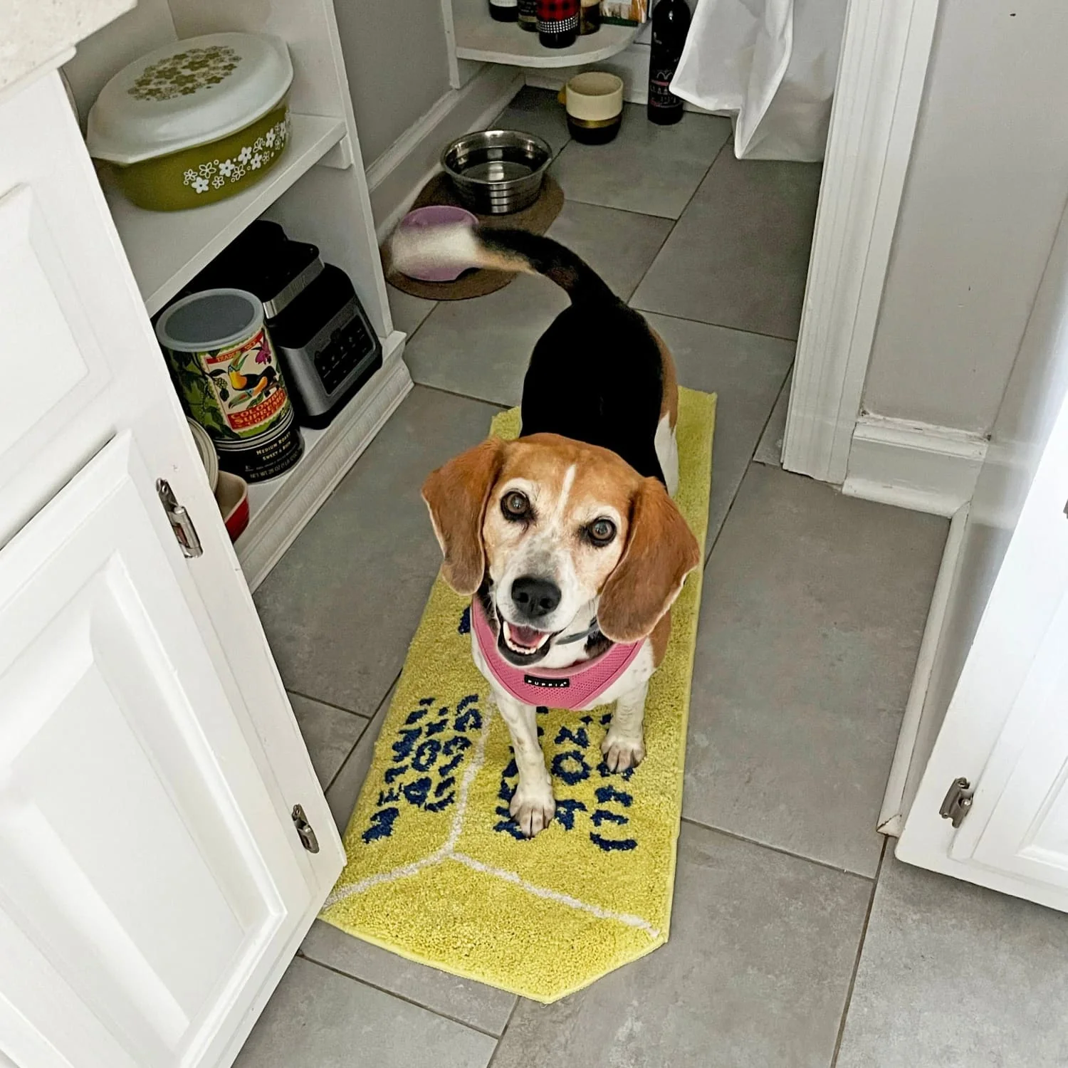 Butter Accent Rug - Image 4
