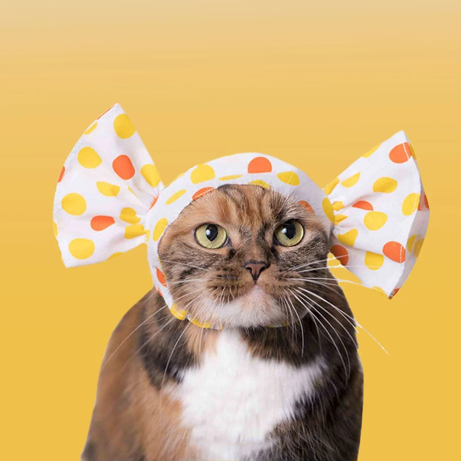Cat Cap Candy Hat - Blind Box - Image 6