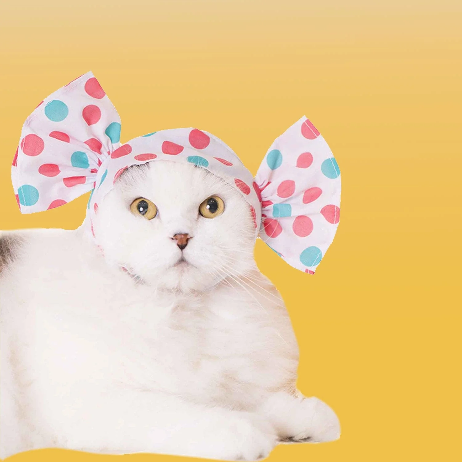 Cat Cap Candy Hat - Blind Box - Image 9
