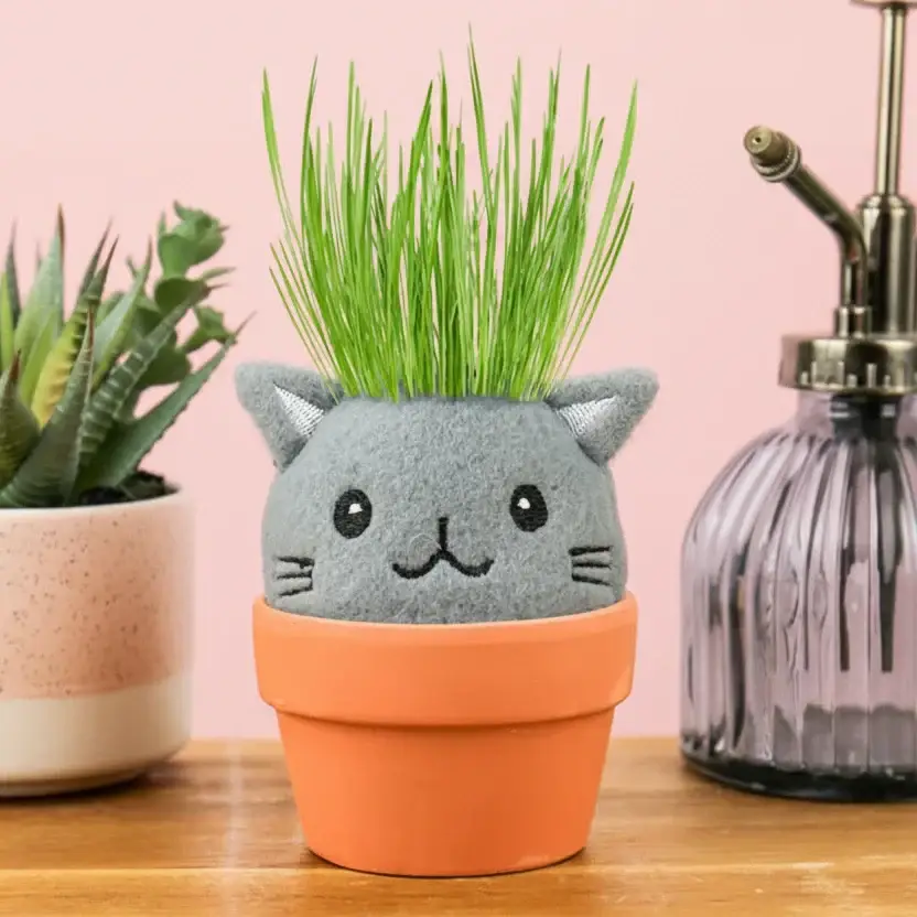 Cat Pal Grow Kit Garden - Image 3