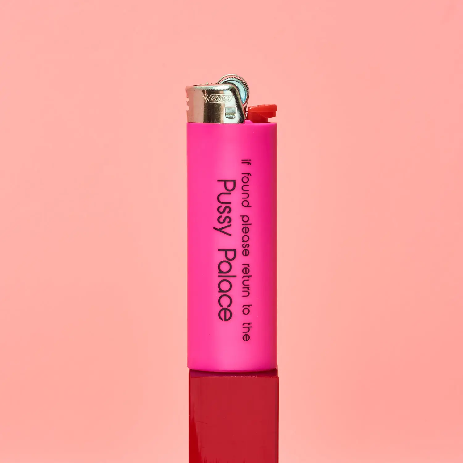 Friends NYC Bic Lighter - Pussy Palace - Image 2