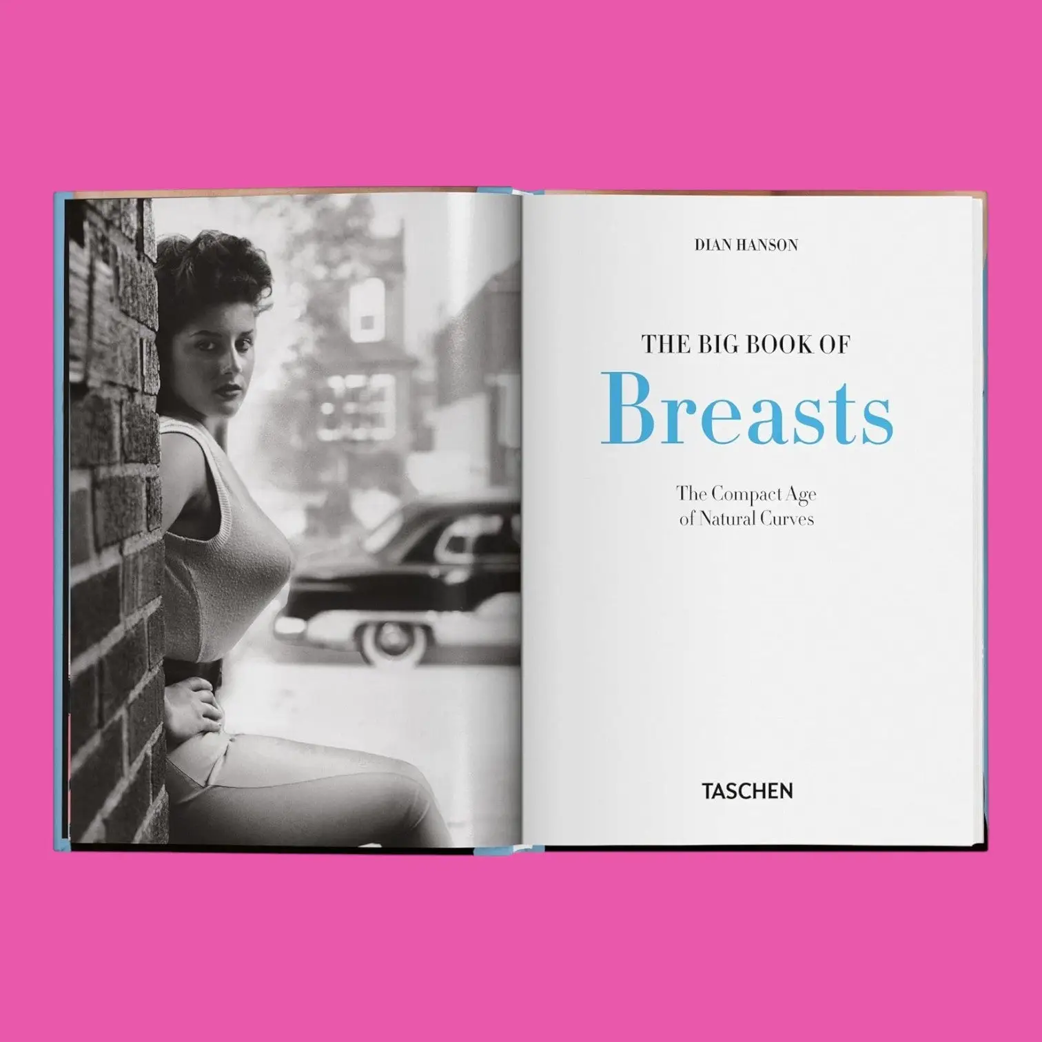 Little Big Book of Breasts - Image 2