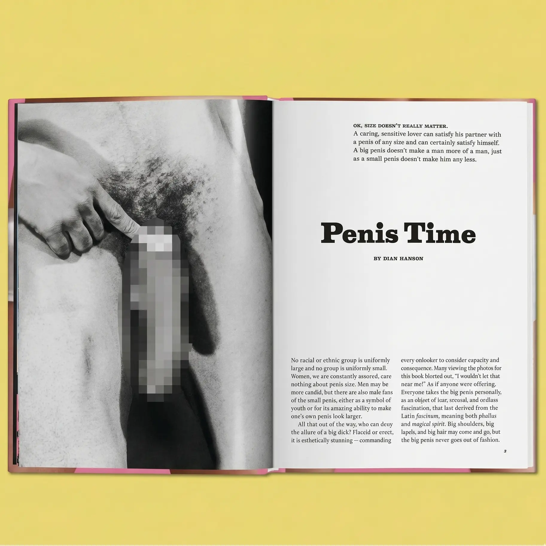 Little Big Penis Book - Image 2