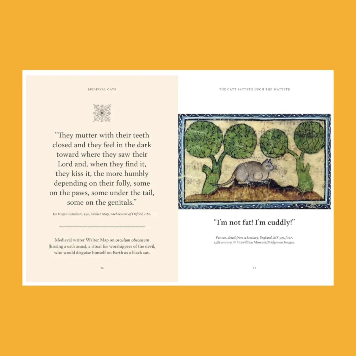 Medieval Cats: Claws, Paws, and Kitties of Yore - Image 2