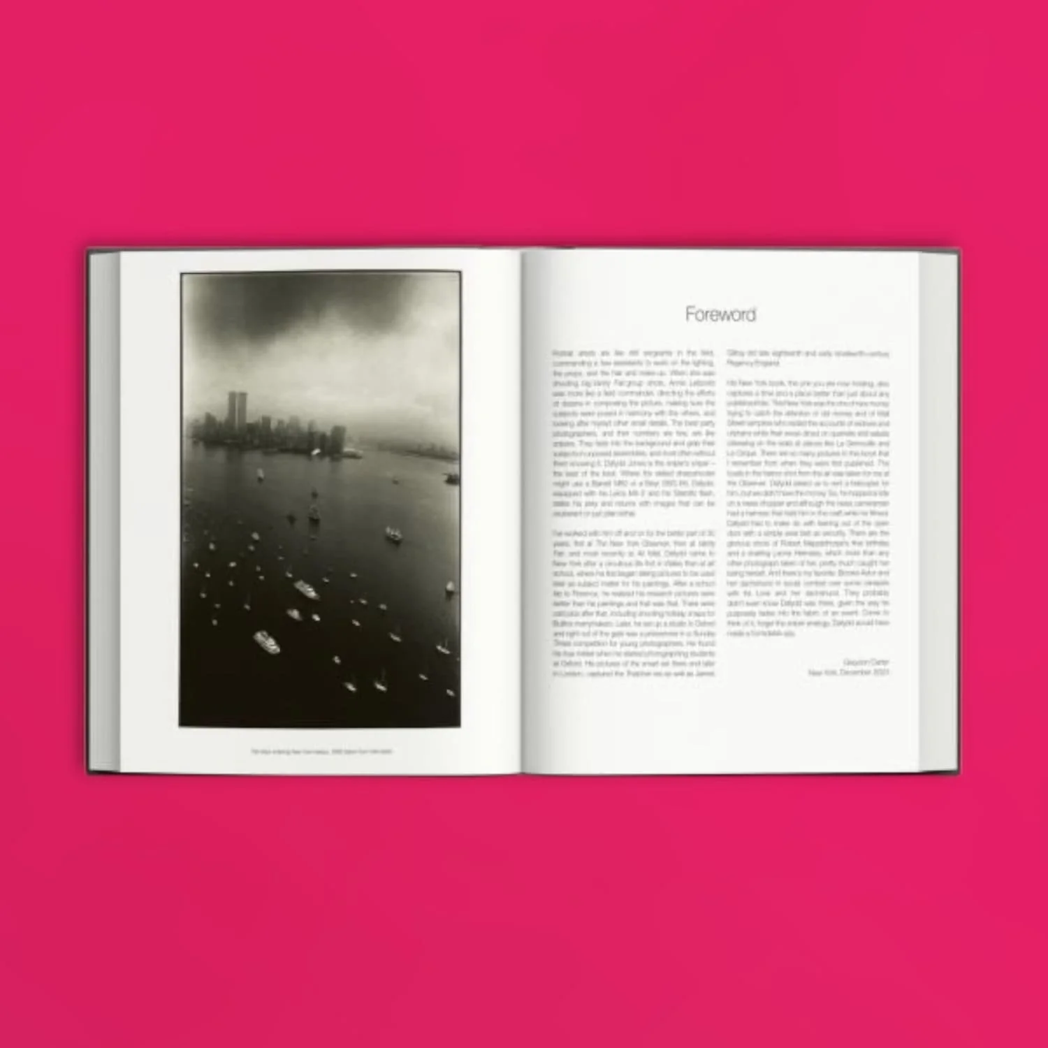 New York: High Life, Low Life - Image 3