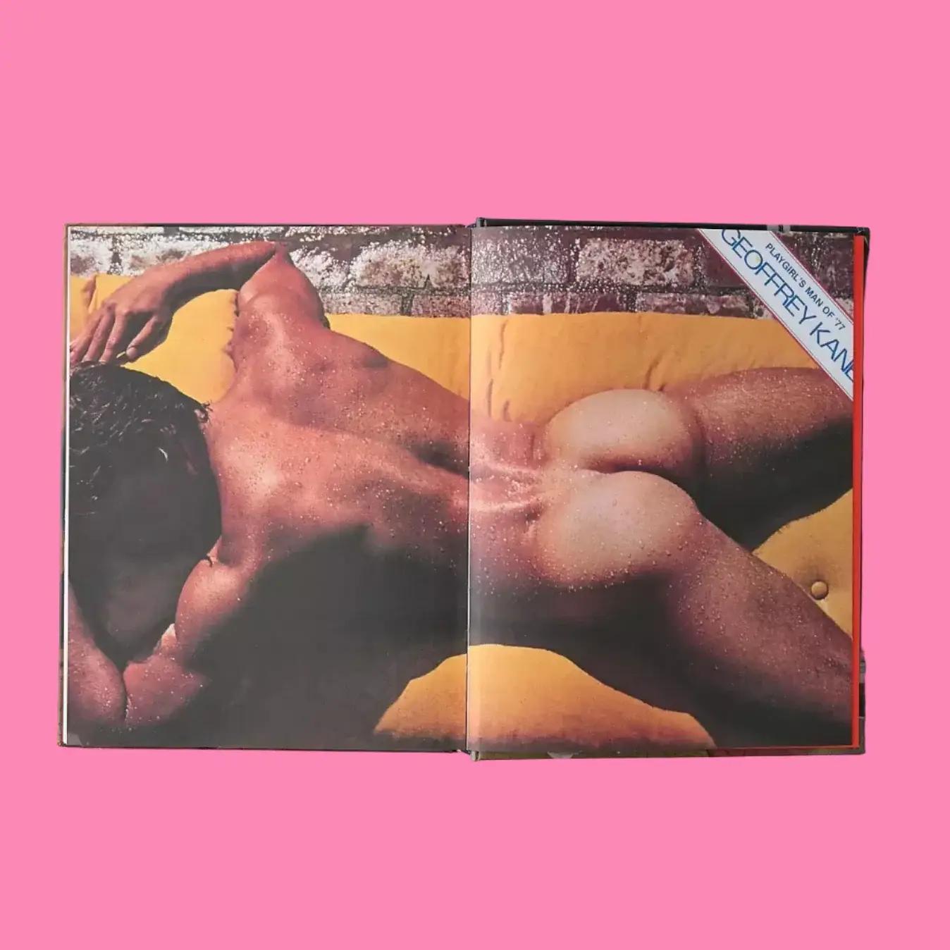 Playgirl: The Official History of a Cult Magazine - Image 2