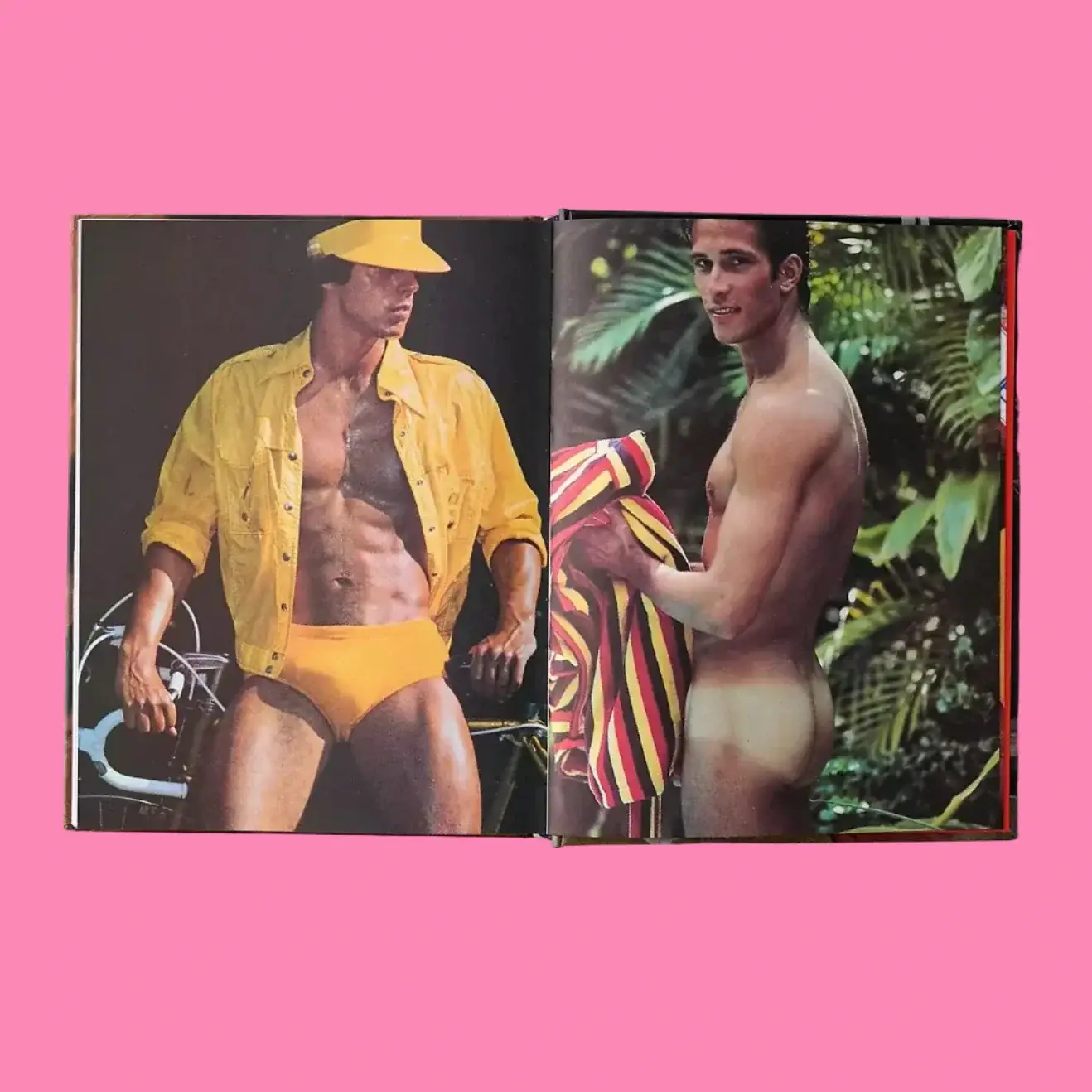 Playgirl: The Official History of a Cult Magazine - Image 4