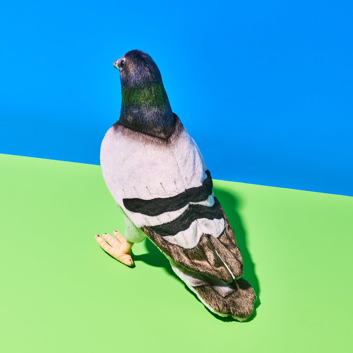 Plush Pigeon - Image 4