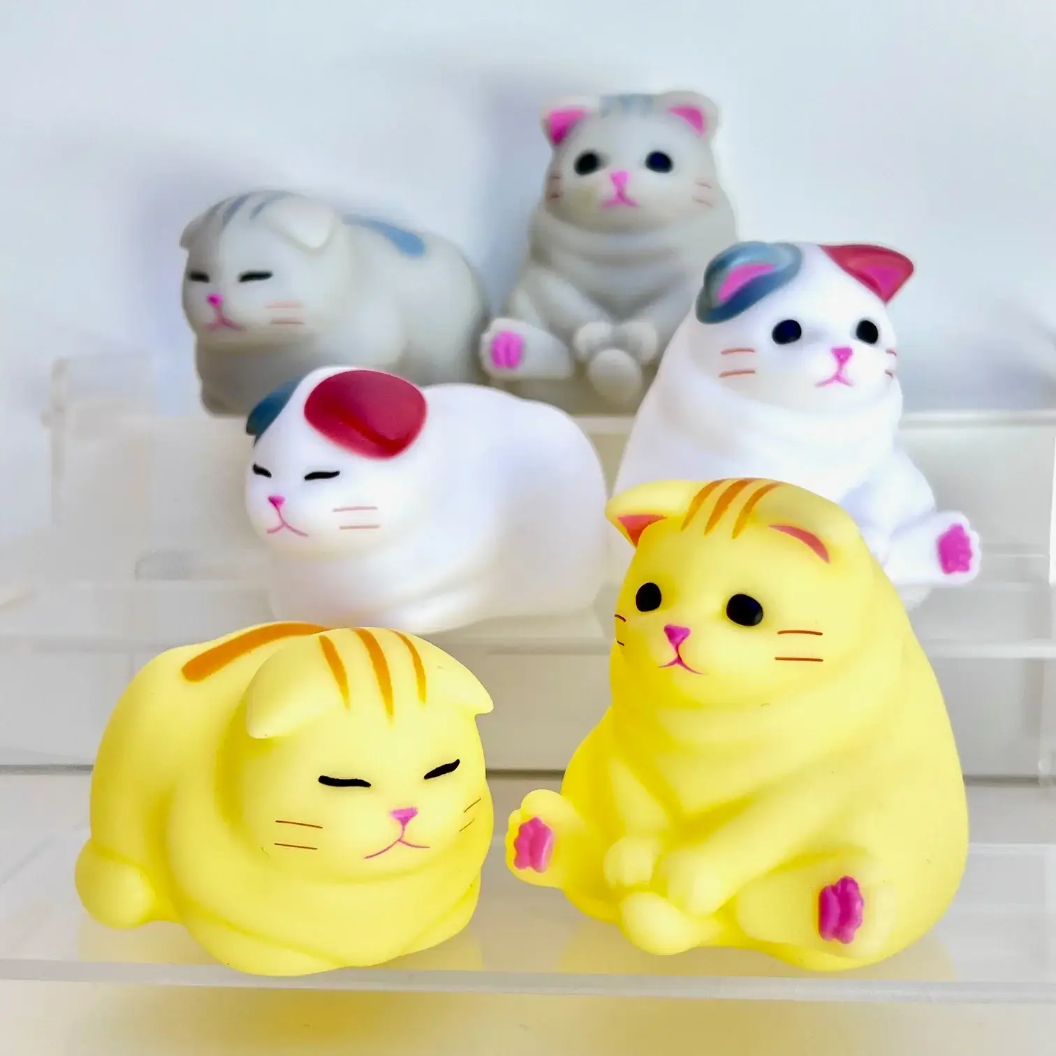 Soft Kitten Blind Box - Image 4