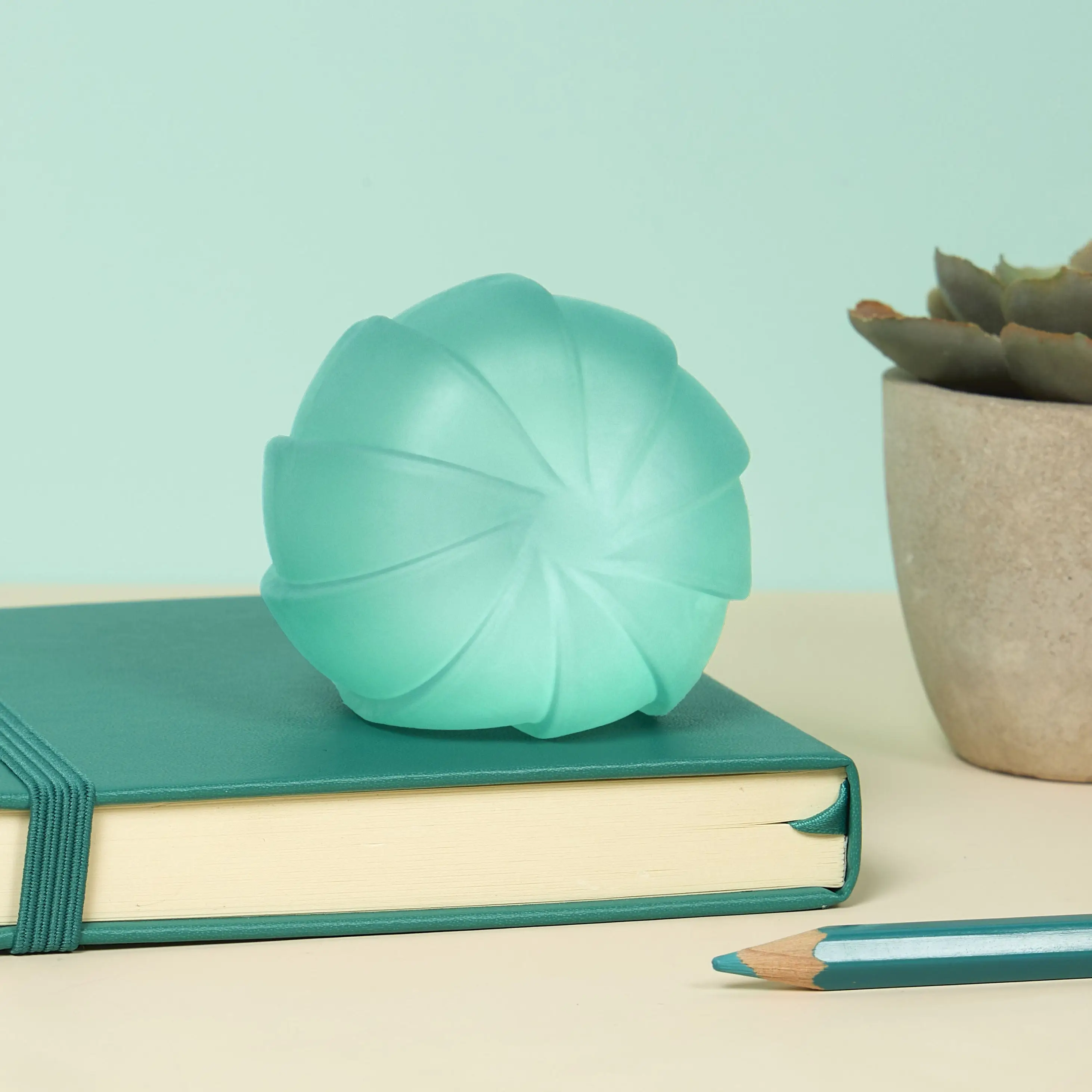Gump Surface - Assorted - Image 7