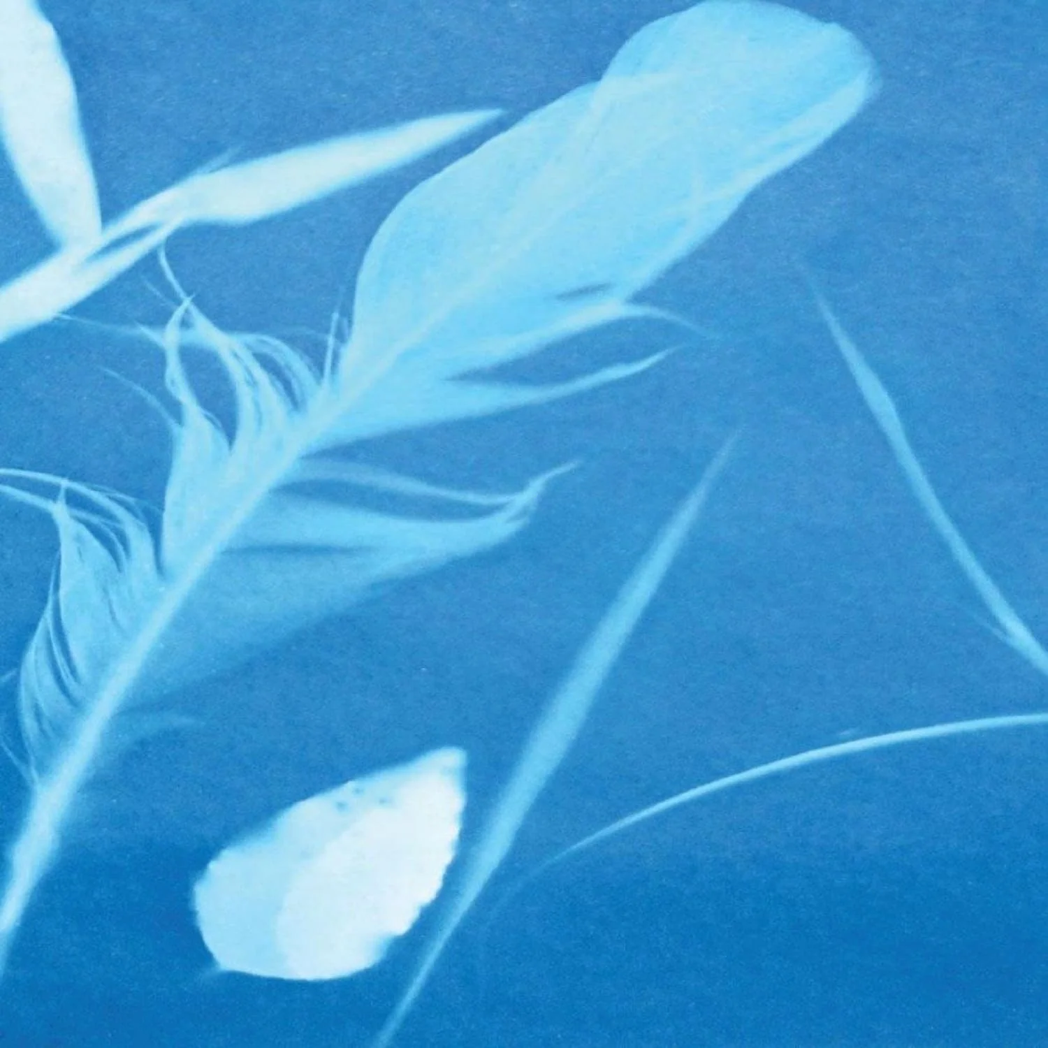 Sunprint Kit - Small - Image 3
